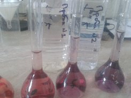 ������ ���� ��������, ������� � ����� ������ ���������� ��������� �������������, ����, ������������� � �������, ����������� ����