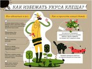 ��� �������� ����� �����